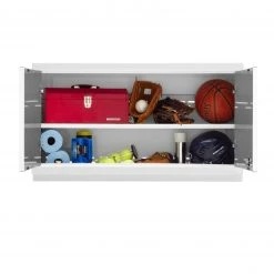 NewAge Products Pro Series 42 In. Wall Cabinet