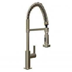 NewAge Products Coiled Pull-Down Faucet