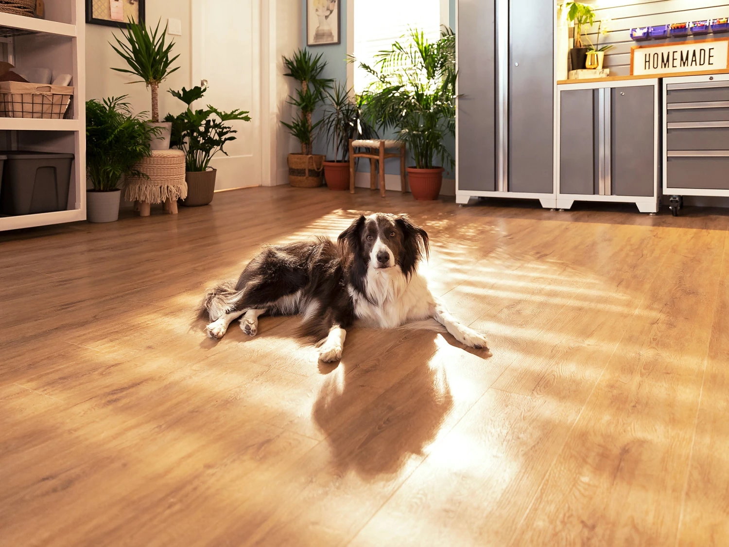 NewAge Products Sample Kit Stone Composite LVP Flooring 9.5mm 800 Sq. Ft. Flooring Bundle 11 NewAge Products Sample Kit Stone Composite LVP Flooring 9.5mm 800 Sq. Ft. Flooring Bundle