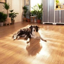 NewAge Products Stone Composite LVP Flooring 9.5mm 600 Sq. Ft. Flooring Bundle Sample Kit 54 NewAge Products Stone Composite LVP Flooring 9.5mm 600 Sq. Ft. Flooring Bundle Sample Kit