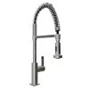 NewAge Products Coiled Pull-Down Faucet